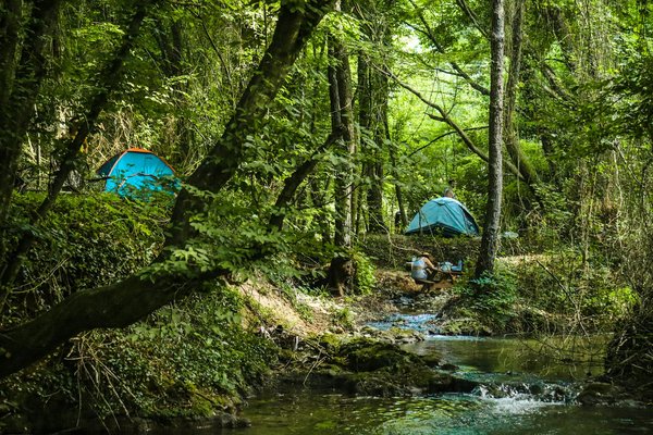 Quels sont les meilleurs conseils pour un camping en forêt primaire?